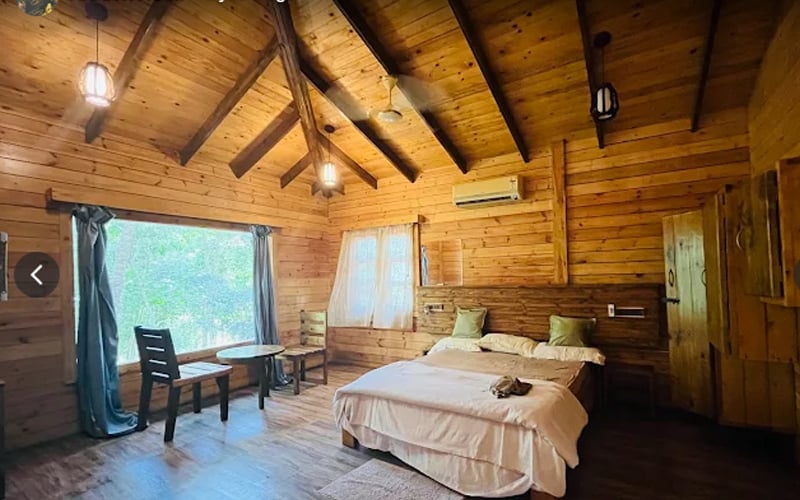 Wooden cottage bedroom with forest window