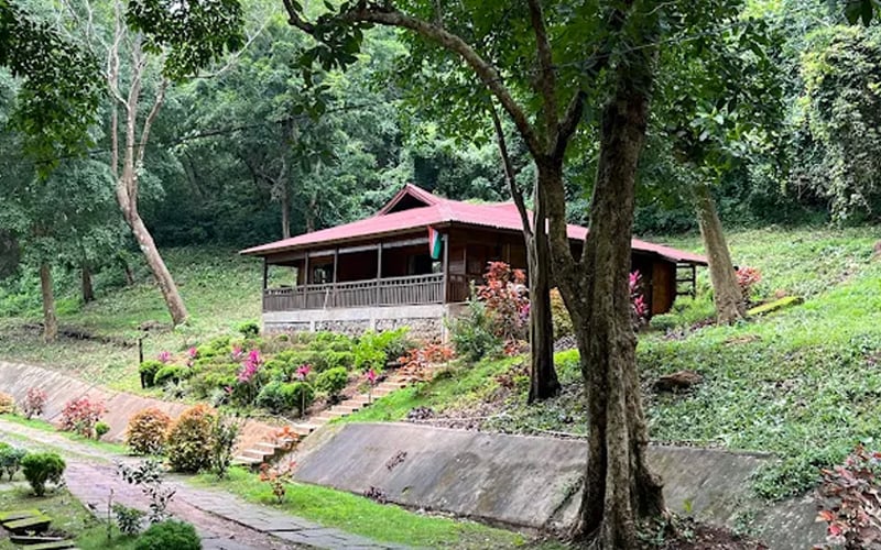 Wooden cottage tucked into the Maredumilli forest