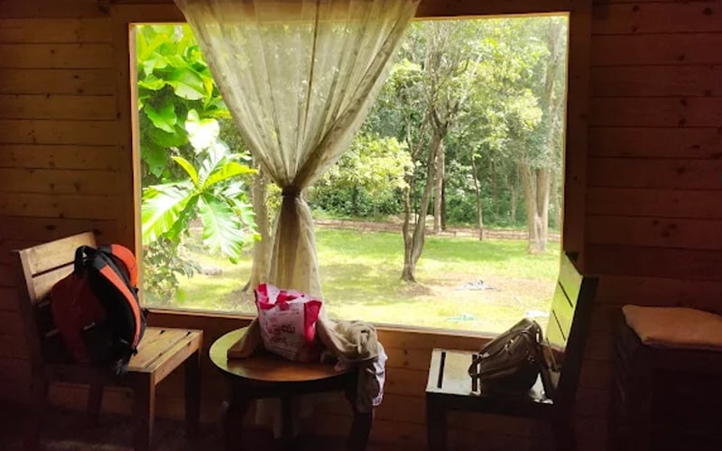 Cottage window with a view of banana trees