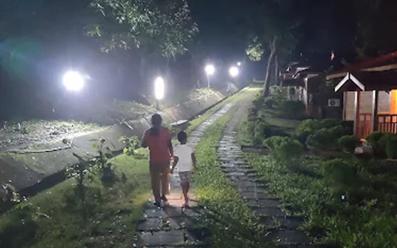 Guests walking a lit forest path at night