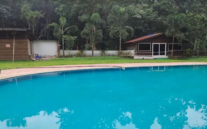 Swimming pool surrounded by forest at The Woods Resort