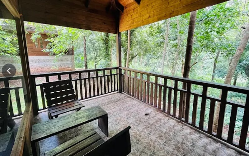Cottage veranda looking into green forest